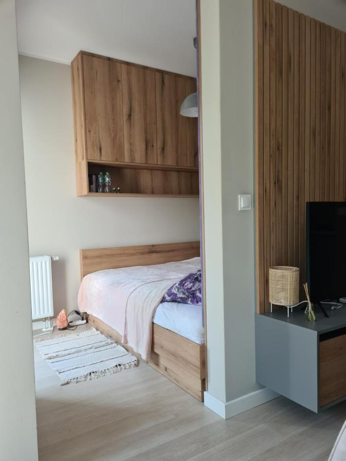 Mostowa 23 Bruno Apartment, Self Check-In 24H, Free Parking, Air-Conditioning Poznan Exterior photo